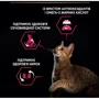 Сухой корм Pro Plan Sterilised для стерилизованных кошек с треской и форелью 3 кг (7613036732550) фото 10