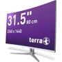 Монитор Terra 3280W (3030031): Покрытие экрана матовое