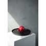 Столовый сервиз Dovbysh Porcelain Win 12 предметов (DP106WN): Количество персон 4