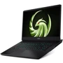 Ноутбук MSI Alpha 17 (C7VF-017XPL_W11H): Экран 17.3 " (2256x1504)