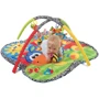 Розвиваючий килимок Playgro Поні (0182618) фото 9