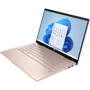 Ноутбук HP Pavilion x360 14-ek1009ua (832S8EA) UA: Тип экрана глянец