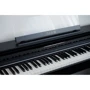 Цифровое пианино CASIO AP-S450BK: Количество встроенных тембров 26