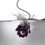 Вибратор Rocks Off - Zinnia