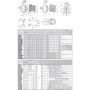 SAER IR 40-125A: Мощность, кВт 3