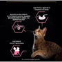 Влажный корм ProPlan Delicate для кошек с чувствительным пищеварением с индейкой и с океанической рыбой 10x85 г (8445290855817): Основные ингредиенты Мясо, Рыба