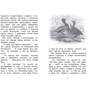 Дмитрий Мамин-Сибиряк. Серая Шейка: ISBN 978-5-389-14894-9