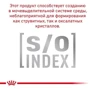 Влажный корм Royal Canin Diabetic Feline для котов с диабетом 85 г (40850011): Класс Супер премиум