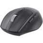Мышь OfficePro Wireless M315B: Интерфейс подключения Wireless