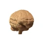 Картонний конструктор Cartonic 3D Puzzle BRAIN фото 5