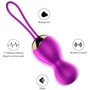 Вагинальные шарики с вибрацией и с пультом ДУ FOX - Vibrating Silicone Kegel Balls USB