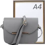 Женская сумка-сэтчел Valiria Fashion серая (4DETBI-184-9): Пол Женский