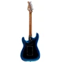 Електрогітара MOOER Professional 801 Dark Night: Тип Электрогитара