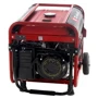 Генератор бензиновий Einhell TC-PG 55/E5: Об'єм двигуна 389 куб. м