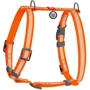 Шлея для собак WAUDOG Waterproof водостойкая анатомическая Н-образная c QR-паспортом, светоотражающаяXL, Ш 40 мм, А 60-98, В 69-110 см (32444)