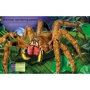 Build Your Own Deadly Animals / книга с наклейками Создайте своих смертоносных животных: Обложка Мягкая