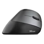 Мышь Trust Bayo Ergonomic Rechargeable WL Black (24110): Радиус действия 10 м