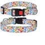 Нашийник HiDog Flowers blue XS 10 мм 18-28 см різнокольоровий (101\1018): Виробник HiDog
