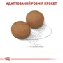 Сухой корм Royal Canin Maxi Adult для собак крупных пород 15 кг (3007150): Класс Супер премиум