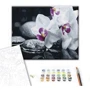 Картина по номерам Brushme Цветы дзена 40x50 см (BS21140): Производитель Brushme