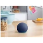 Акустика Amazon Echo Dot (5th Generation) Charcoal (B09B8V1LZ3): Тип настольная