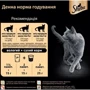 Влажный корм Sheba cig POU для котов с лососем в соусе 24х85 г (4770608258832): Возраст Взрослые