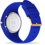 Наручные часы Ice-Watch 019229: Механизм Кварцевый