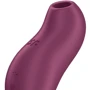 Вакуумный клиторальный стимулятор с вибрацией Satisfyer Pocket Pro 1 Purple