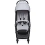 Прогулочная коляска Chicco WE Stroller (79885.95): Тип коляски Прогулочная