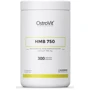 OstroVit Supreme Capsules HMB 750 мг 300 капсул