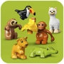 Конструктор LEGO DUPLO Дикие животные Южной Америки (10973) фото 5