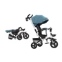 Велосипед триколісний Tilly Flip (T-390/1 Зелений): Тип Велосипед-коляска