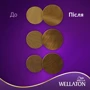 WELLATON Краска для волос 7/3 Лесной орех 110 ml: Классификация Масс-маркет