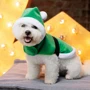 Попона Pet Fashion SANTA зеленая S (4823082432073): Размер животного Маленькие