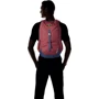 Рюкзак Рюкзак Deuter Walker 16 колір 5323 maron-midnight (3810517 5323): Вага 520 г