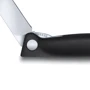 Нож Victorinox SwissClassic Foldable Paring 11 см (6.7803.FB): Рукоятка Полипропилен