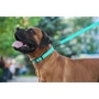 Поводок WAUDOG Waterproof, светящийся 15 мм 122 см ментоловый (2730) фото 6