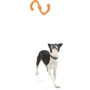 Игрушка для собак West Paw Bumi Large Tangerine/Буми S-образная оранжевая 24 см (ZG051TNG) фото 3
