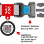 Ошейник для собак нейлоновый WAUDOG Nylon c QR паспортом рисунок Супермен 2 пластиковый фастекс XXL 35 мм 46-70 см (284-2014): Производитель WAUDOG