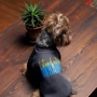 Толстовка Pet Fashion I stand with Ukraine M (4823082431373): Тип Толстовки
