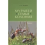 А. А. Захаров: Мураха. Родина. Колонія