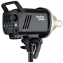 Студийная вспышка Godox MS300: Производитель Godox
