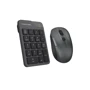 Комплект бездротовий A4Tech FG1600C Air2 (Grey): Призначення Для ноутбука