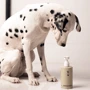 Шампунь для животных Sister's Aroma Smart Pet Shampoo 250 мл (4820227781720): Объем 250 мл