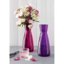Декантер Bormioli Rocco Ypsilon Rosa Fucsia 500 мл (125081MG8321605): Тип Декантер