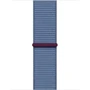Apple Watch Series 9 41mm GPS Silver Aluminum Case with Winter Blue Sport Loop (MR923) Approved Витринный образец: Производитель Apple