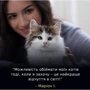 Сухой корм Pro Plan LiveClear Kitten для котят с индейкой 1.4 кг (7613287232526) фото 11