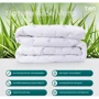 Одеяло ТЕП Природа Membrana Print Aloe Vera 180х210 см (1-02572): Тип Всесезонные
