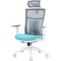 Офісне крісло OfficePro Balance (OC550-W-DG-BL): Максимальне навантаження, кг 120