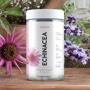 Prozis Echinacea 1500 mg 90 caps